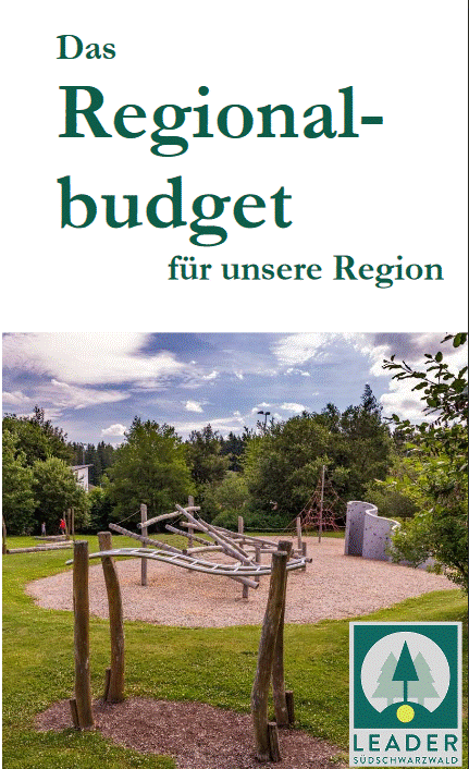 Regionalbugjet